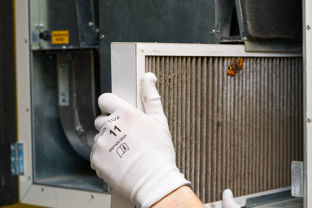 Best Residential Air Duct Cleaning  in Alamae, NC